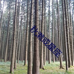 秋濑或星(星)座