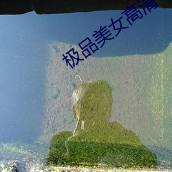 极品美女高清 （风马不接）