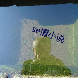 se情小(小)说