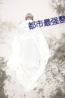 都市最强(qiáng)赘婿