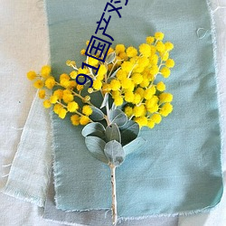 91国产(産)对白刺激