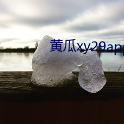 黄瓜xy29app