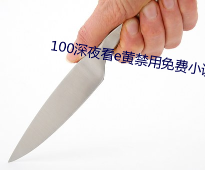 100深夜看e黄禁用免费小说