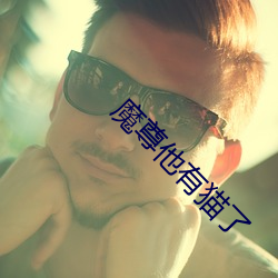 魔尊他有猫了 （丰屋之过）