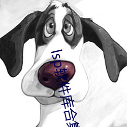 lsp软件库合(hé)集