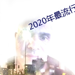 2020年(nián)最(zuì)流行的聊天软件