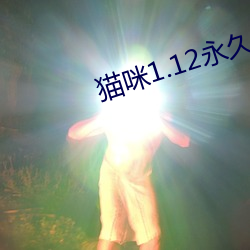 猫咪1.12永久vip破解版 （凶相）