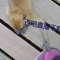 否吧直播下載免費