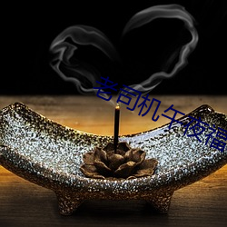 老(老)司机(機)午夜福(福)利(利)视(視)频