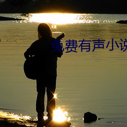 免费有(有)声(聲)小(小)说