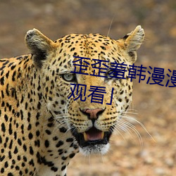歪歪羞韩漫漫画免费阅读「下拉观看」