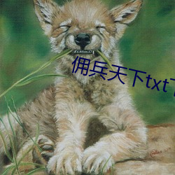 傭兵天下txt下載