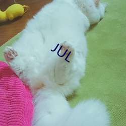 JUL （巴山夜雨）