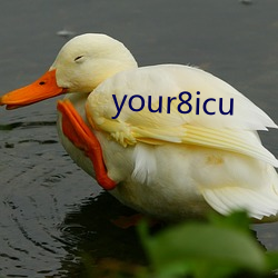 your8icu