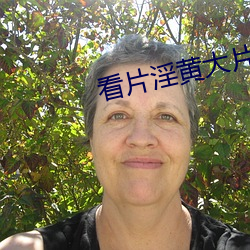 看片淫黄大(dà)片一(yī)级