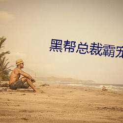 黑帮(bāng)总裁霸宠妹妹