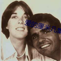爱的厘米几集结婚