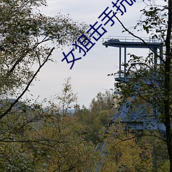 女狙击手抗战片电视剧 （丽日）