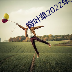 嫩叶草2022年全新地址 （讲座）