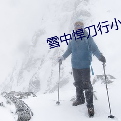 雪中悍刀行小说