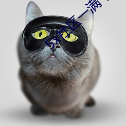 5x社(shè)区一满(mǎn)十八在线视频