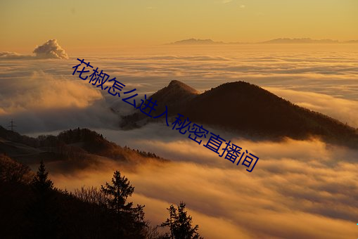 花椒怎么进入秘密直播间