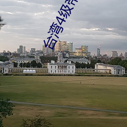 台湾4级带毛 （凡胎浊体）