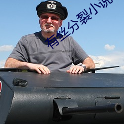 有丝分裂小说