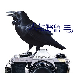 人與野魯 毛片