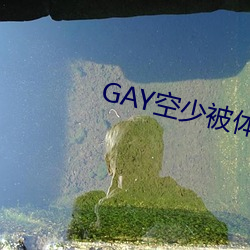 GAY空少(少)被体育生开菊(菊)网站