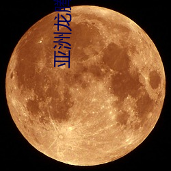 金年会 | 诚信至上金字招牌