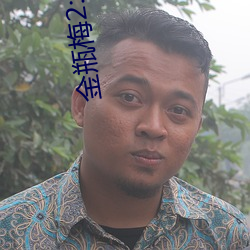 金瓶梅2:爱的奴隶 电影