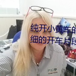 纯(chún)开小黄车(chē)的短文300字 过程很细的(de)开车片段描写