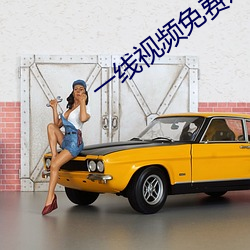 一线(線)视(視)频免费(費)观看