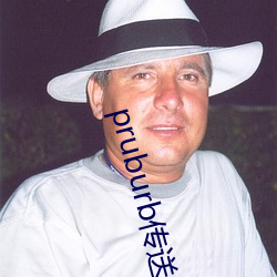 pruburb传送门