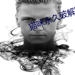 貓咪永久破解版大象