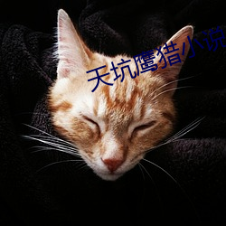 天坑鹰猎小说