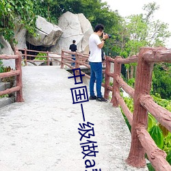 中国一级做a爱片免费