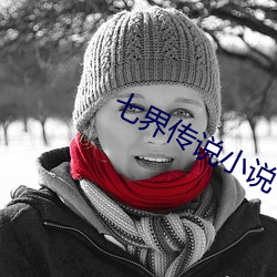 七界传说小说 （积雪封霜）