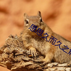 思思久而久之焦人