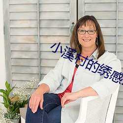 小溪村的绣感21章