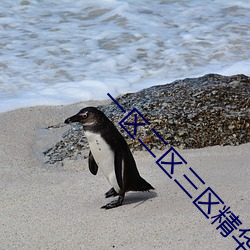 一区二(二)区三区精华液