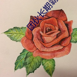 团伙长期霸占女教师