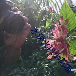 水深火热小花喵(喵)