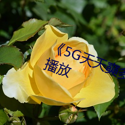 《5G天天奭多(duō)人 运动》完整版(bǎn)正在播放