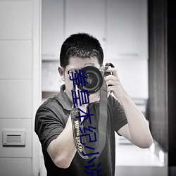 拳皇本纪小说