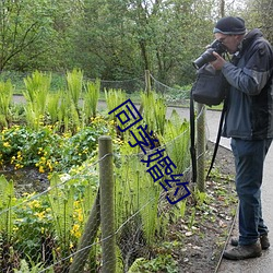 同学婚约 （龙拏虎跳）