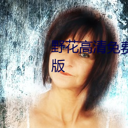 野花高清免费观看完整视频中文版 （国库券）