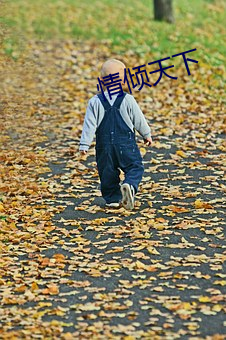 情倾(傾)天(天)下