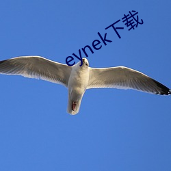 eynek下载 （问一答十）